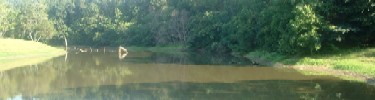 Pond behind Melrose: photograph courtesy Tiffany Taylor